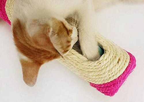 Diyafas-Katze-Ktzchen-Kratzbaum-Spielzeug-Rollen-Sisal-Kratzer-Roller-mit-3-Blle-bung-Training-Tool