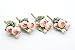 Yokoke Pink Groom Boutonniere with Pin, Artificial Succulent Plants Best Man Boutineers Buttonholes Corsage Bouquet Silk Flowers for Wedding Prom Man Suit Decor 4 Pcs