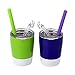 Housavvy 2 Pack 8 OZ Insulated Stainless Steel Kids Cups with Lids and Silicone Straws BPA Free Toddler Cups for Kids Smoothie Drinking
