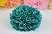 SUNBEAUTY Tissue Paper Pom Poms Paper Fans Honeycomb Balls Kit for Wedding Birthday Baby Shower Valentine Decoration 5 Pieces (Teal Blue)