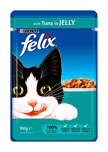 bulk felix cat food australia