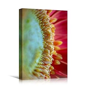 signwin Canvas Wall Art Yellow Petal Close Up...
