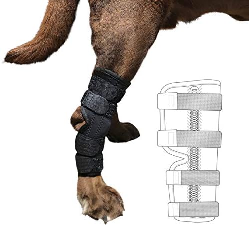 labra knee brace