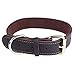 Beirui Brown Genuine Leather Dog Collars for Medium and Large Dogs Neck for 16-21 inches