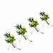 Yokoke Handmade Artificial Succulent Corsage Wristlet Realistic Cute Green Plants Boutonniere for Wedding Decor 4 Pcs