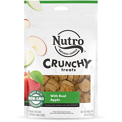 NUTRO Crunchy Dog Treats with Real Mixed