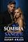 Livro SOMBRA & SANGUE (Os Reis de Distry City Livro 4)