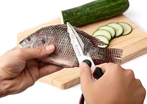 4 KABBLE+Premium+Multifunction+Scissors+Designed