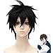 MSHUI Anime Movie Big hero 6 Hiro Hamada Costume Cosplay Wig Black Short Hair