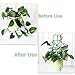 Indoor Plant Trellis for Climbing Plants Bundle Pack - 6 Leaf Shape Garden Plant Supports Houseplants Trellis, 18 Plant Clips, 12 Zip Ties, 1 Roll Wire Twist Tie for Potted Vine Vegetable Flower