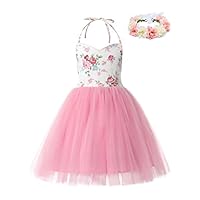 aibeiboutique Little Girls Pink Tutu Dress Tulle Birthday Wedding Party Toddler Infant Dress for Special Occasion (6 Years)