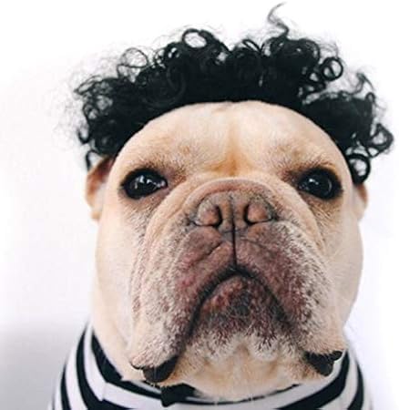 Dog Hair Color Costume Soft Synthetic Hair Colorful Short Curly