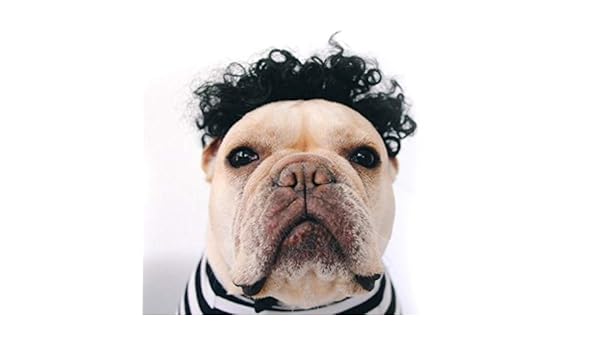 Dog Hair Color Costume Soft Synthetic Hair Colorful Short Curly