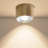 Sedelan Brass Ceiling Spot Lights Indoor, LED Ceiling Spot Light, 4.72" Cylinder Mini Ceiling Spotlight, Dimmable Ceiling Lig