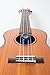MusicNomad MN302 Humilele Ukulele Humidifier