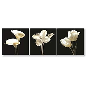 3 Panel Elegant Flowers Painting Wall Bedroom Living...