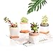 Potaroma Set of 3 Modern Planters (Snowflake_Pro)