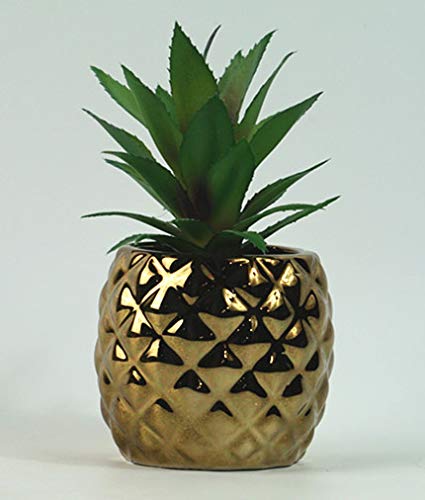 Amazon Com Surprise Art Pineapple Artificial Potted Succulent 7 8
