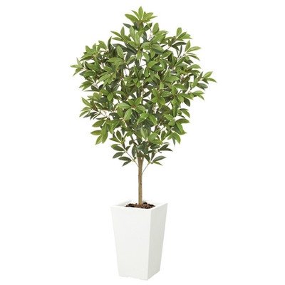 クーポン対象外 光触媒 ローレルツリー ポット 鉢 は別売りです Let64hi フェイクグリーンインテリア用人工観葉植物造花 B01lar47ic 人工観葉植物 Kaiserimmobilien De
