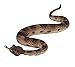 Safari Ltd Incredible Creatures Sidewinder Rattlesnake