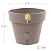 Santino Self Watering Planter Latina 7.9 Inch Shade Indoor/Outdoor Flower Pot with Bottom Watering and Water Level Indicator for All Plants, Flowers, Herbs