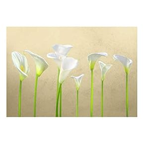 Arum Lilies with Copper Textured Background - Wall Mural, Removable Sticker, Home Decor - 66x96 inches