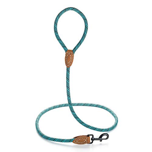 Mile High Life Mountain Climbing Dog Rope Leash with Heavy Duty Metal