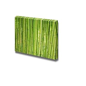 Canvas Prints Wall Art - Close Up of Fresh Green Bamboo Sticks | Modern Wall Decor/Home Decoration Stretched Gallery Canvas Wrap Giclee Print. Ready to Hang - 12" x 18"