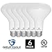 Great Eagle R30 or BR30 LED Bulb, 12W (100W equivalent), 1210 Lumens, Brighter Upgrade for 65W Bulb, 2700K Warm White Color, For Recessed Can Use, Wide Flood Light, Dimmable, and UL Listed (Pack of 6)