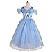 Dressy Daisy Girls' Princess Dress Costume Christmas Halloween Fancy Dresses Up Butterfly Size 4T Blue