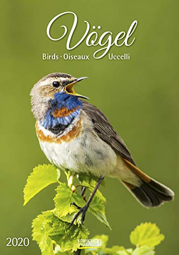Vögel 2020 by