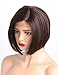 AIVA Glueless Bob Synthetic Lace Front Wigs for Women Side Part Natural Synthetic Hair Replacement Brown Wig (Brown, 8 inch)