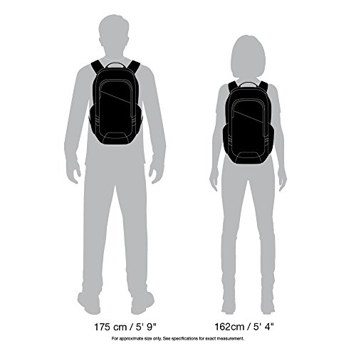 pacsafe venturesafe 15l