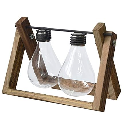 Macetero Interior Decorativo de Cristal, con Soporte de Madera ...