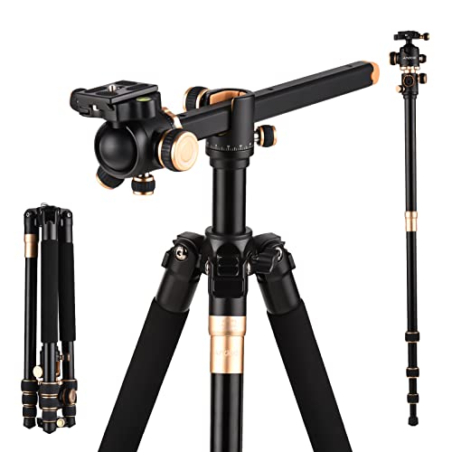 Andoer Camera Tripod 184 cm, Portable Camera Tripod Monopod with 360° Rotating Ball Head, Carry Bag for DSLR Camera Camcorder Smartphone, 8 kg/17.6 lbs Load Capacity at Amazon