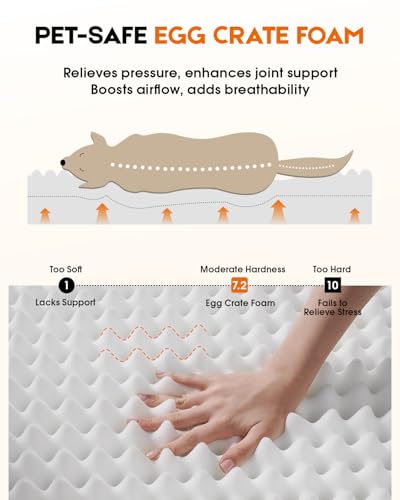 Orthopedic XXL Dog Bed for Giant Dogs, Non-Slip Bottom with Washable Cover | Waterproof, Machine Washable, Removable Cover, Egg Foam, Four-Sided Bolster, Joint Pain Relief, Senior Dogs, Black Dog Bed