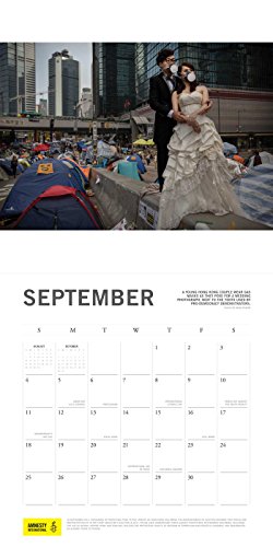 Amnesty International 2016 Wall Calendar Calendar Wall Calendar August 4 2015 Buy Online