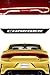 GRIDREADY 2015-2021 Dodge Charger Tail Light Decal | Racetrack Text Sticker Overlay fits 2015, 2016, 2017, 2018, 2019, 2020 & 2021 Model Taillight | Charger Accessories