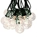 Hometown Evolution, Inc. 50 Foot G40 Globe Patio String Lights with Clear Bulbs and Green Wire (+2 Free Spares)