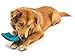 West Paw Zogoflex Air Dash Dog Frisbee – Floatable Flying Disc Pet Toys – High-Flying Aerodynamic Disc for Dogs – Lightweight Chew Puppy Toy for Fetch, Catch, 8” Round, Dandelion