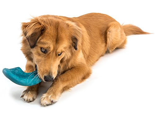 West Paw Zogoflex Air Dash Durable Dog Frisbee Nearly Indestructible Flying Disc Dog Toy, 100% Guaranteed Tough, It Floats!, Made in USA, Large, Dandelion