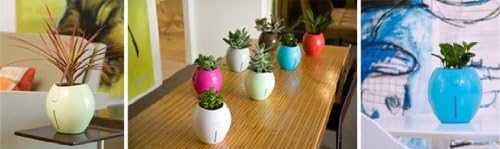 Grobal Self Watering Flower Pot in Sky Blue