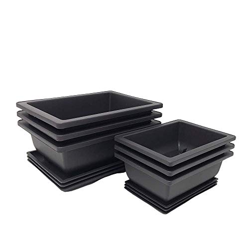 Bonsai Training Pots Humidity Trays Built in Mesh, 6" and 8" Large