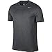 NIKE Men's Dry Legend 2 Tee, Charcoal Heather/Matte Silver, Medium