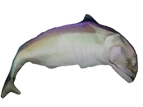 Organic Catnip Mackerel Fish Cat Toy With Catnip Fragrance That Stimulates Playful Behavior for cats.