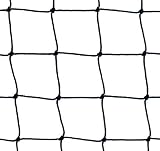 Baseball Net [ALL SIZES] - Fully Edged & Heavy Duty #42 [Net World Sports]