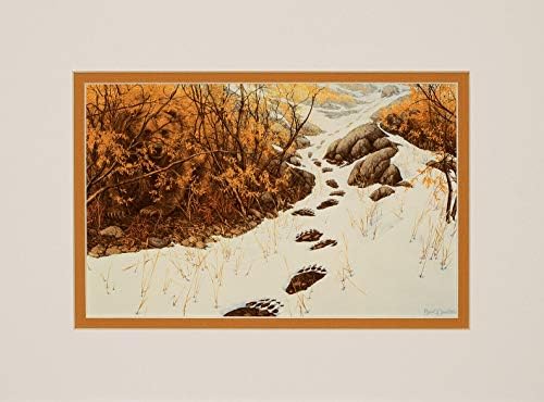 The Art of Bev Doolittle: MacLay, Elise, Doolittle, Bev