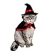 LAWOHO Pet Halloween Costume - Vampire Cloak and Wizard Hat for Holiday Cosplay Party Pet Apparel Suit Cute Kitten Puppy Cape Clothes Suitable for Small Cat Dog Parrots 2 Packs Red Black Decorations