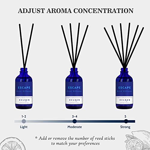 Reed Diffusers Set, 3.7 Oz Scent Diffuser (Strong Aroma), 6 Reed