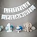 Blue Little Peanut Banner Blue Elephant Baby Shower Baby Boy Welcome Baby Banner Elephant Party Supplies Decorations